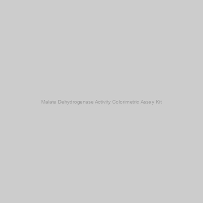 Image of Malate Dehydrogenase Activity Colorimetric Assay Kit